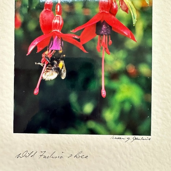 Wild Flower Stationary Card - Picture 15 of 15